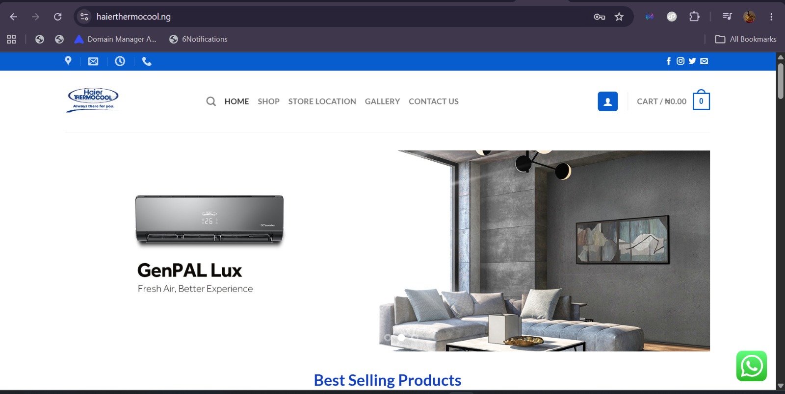 Haier Thermocool digital website project